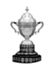 Campeonato uruguayo