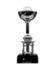 Campeonato Sudamericano sub-17