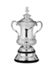 FA-Cup-Sieger