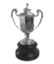 Coupe de la Reine