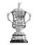 Coupe de la Ligue d’Angleterre