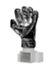 Gant d'Or du Mondial U-20