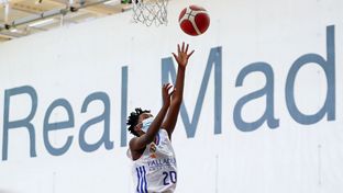 Fin de semana de la cantera de baloncesto