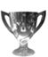 Taça da Turquia
