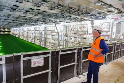 ancelotti en el hipogeo del bernabéu