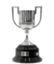 Spanish Cup