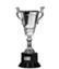 Taça Argentina