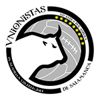 Unionistas U19