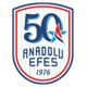 Anadolu Efes