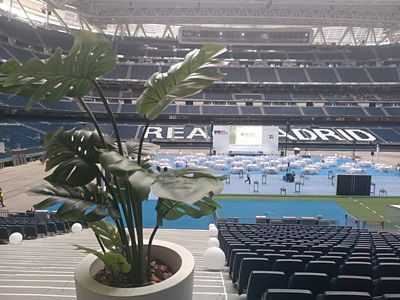 foto de un evento sobre el terreno de juego desde asientos