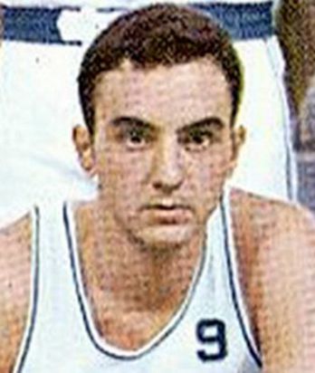 Merino