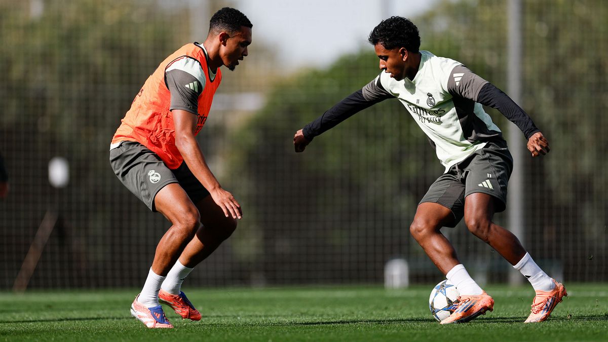ND_ENTRENAMIENTO_02_DB10886?