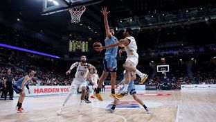 Campazzo makes his 300th Real Madrid appearance