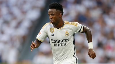 التقرير الطبي لفيني جونيور